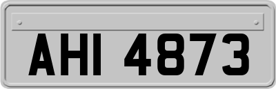 AHI4873