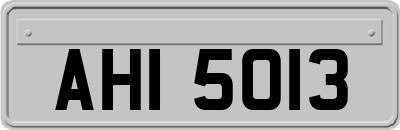 AHI5013