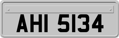 AHI5134