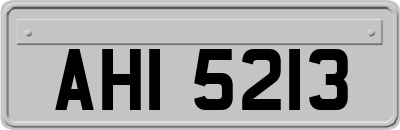 AHI5213