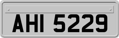 AHI5229