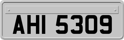 AHI5309