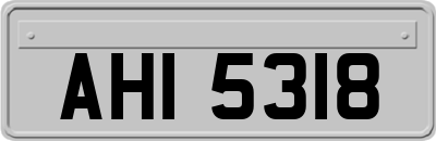 AHI5318