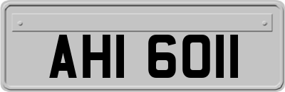 AHI6011