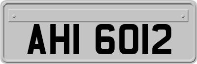AHI6012
