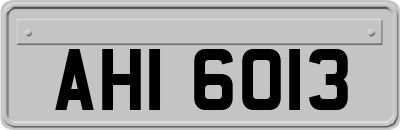 AHI6013