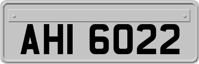 AHI6022