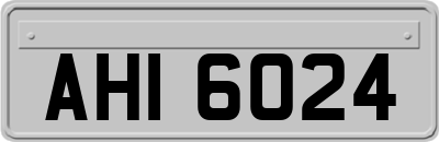 AHI6024