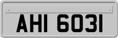 AHI6031
