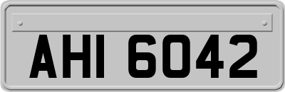 AHI6042