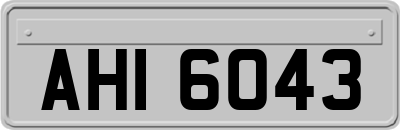 AHI6043