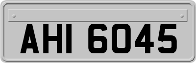 AHI6045