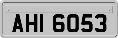AHI6053