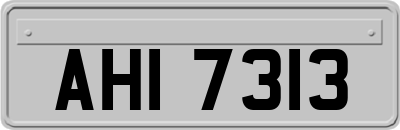 AHI7313