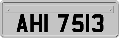 AHI7513