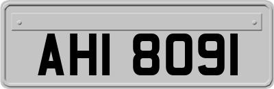 AHI8091