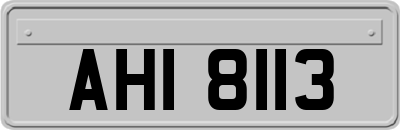 AHI8113