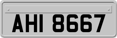 AHI8667