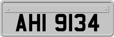 AHI9134