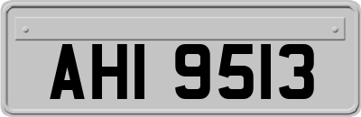 AHI9513