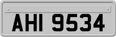 AHI9534
