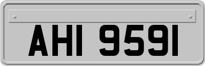 AHI9591