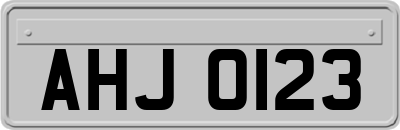 AHJ0123