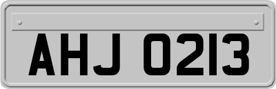 AHJ0213