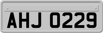 AHJ0229