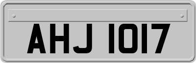 AHJ1017