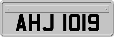 AHJ1019