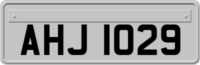 AHJ1029