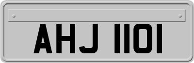 AHJ1101
