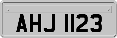 AHJ1123