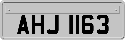 AHJ1163