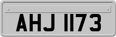 AHJ1173