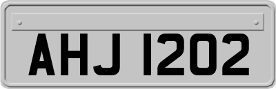 AHJ1202