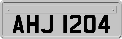 AHJ1204