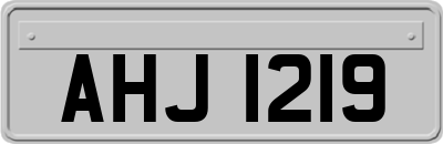 AHJ1219