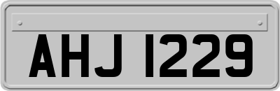 AHJ1229