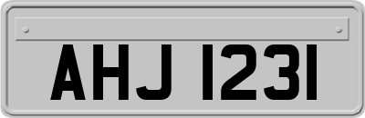 AHJ1231