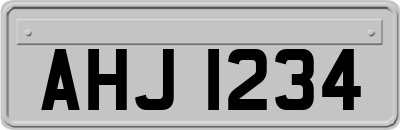 AHJ1234