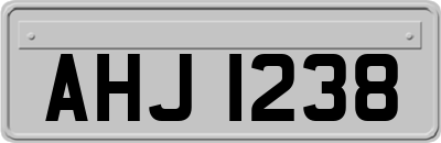 AHJ1238