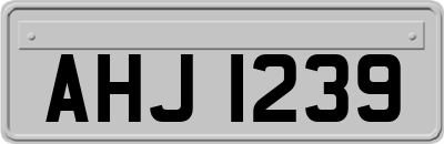 AHJ1239