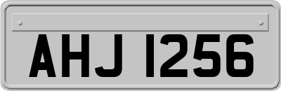 AHJ1256