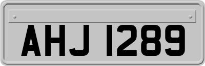 AHJ1289