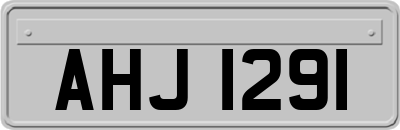 AHJ1291
