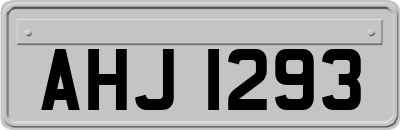 AHJ1293