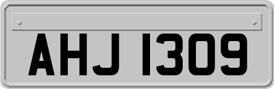 AHJ1309