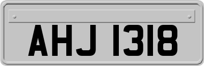 AHJ1318